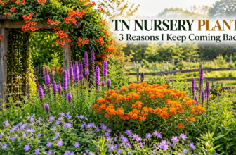 TN Nursery Plants: 3 Reasons I Keep Coming Back