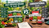 PACS Certified Organic Seeds vs Conventional Seeds: 4 Key Differences You Need to Know Before Buying