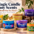 Magic Candle Company vs Park Scents: 3 Differences I Noticed First