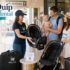 BabyQuip Rental Review 2026: 5 Honest Reasons It’s the Smartest Way to Travel with Babies