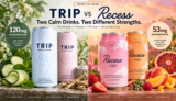 TRIP Mindful Blend vs Recess Mood: 5 Differences I Noticed First